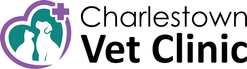 Charlestown Vet