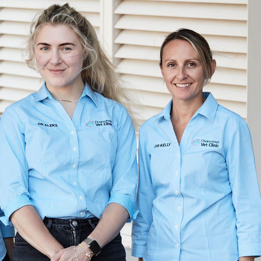 Charlestown Vet Clinic - Vet Team 