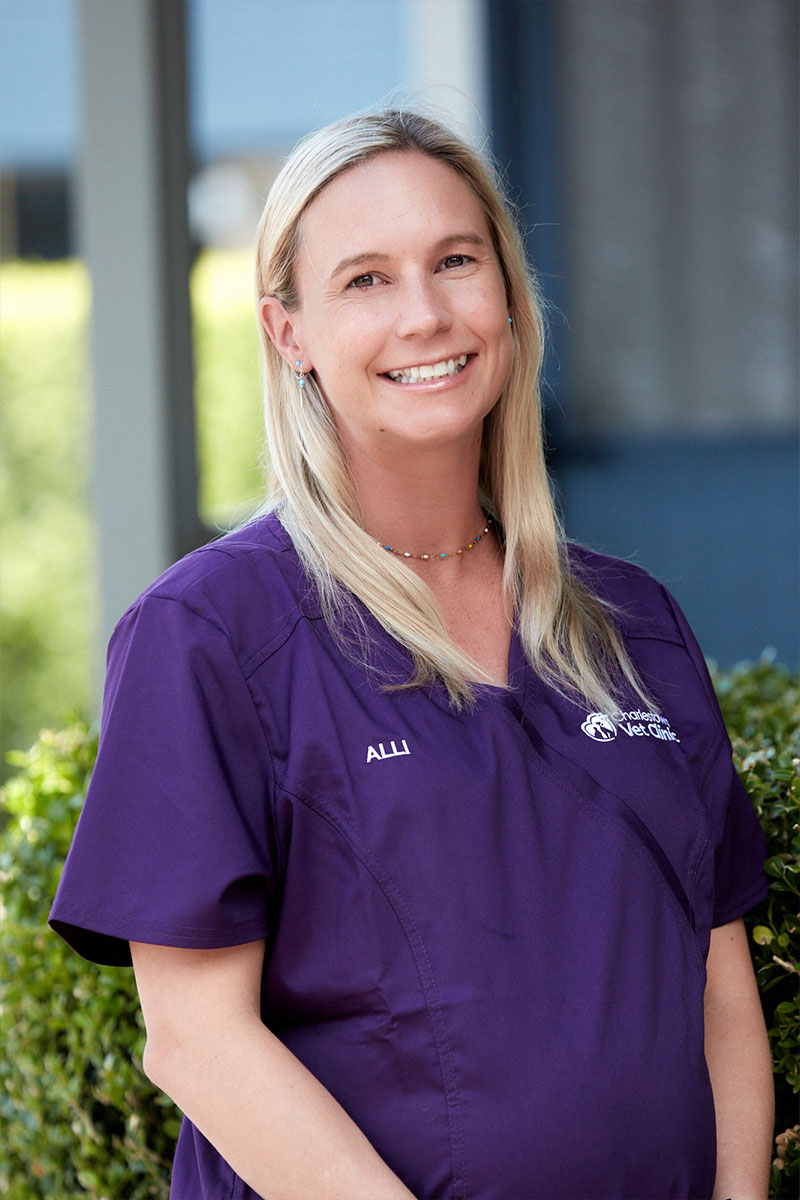 Meet Our Team at Charlestown Vet - Alli