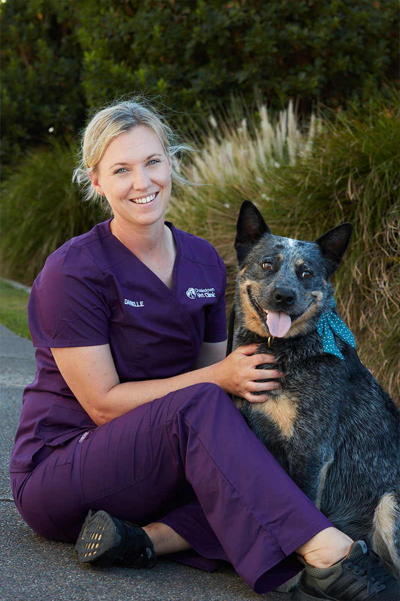Meet Our Team at Charlestown Vet - Danielle