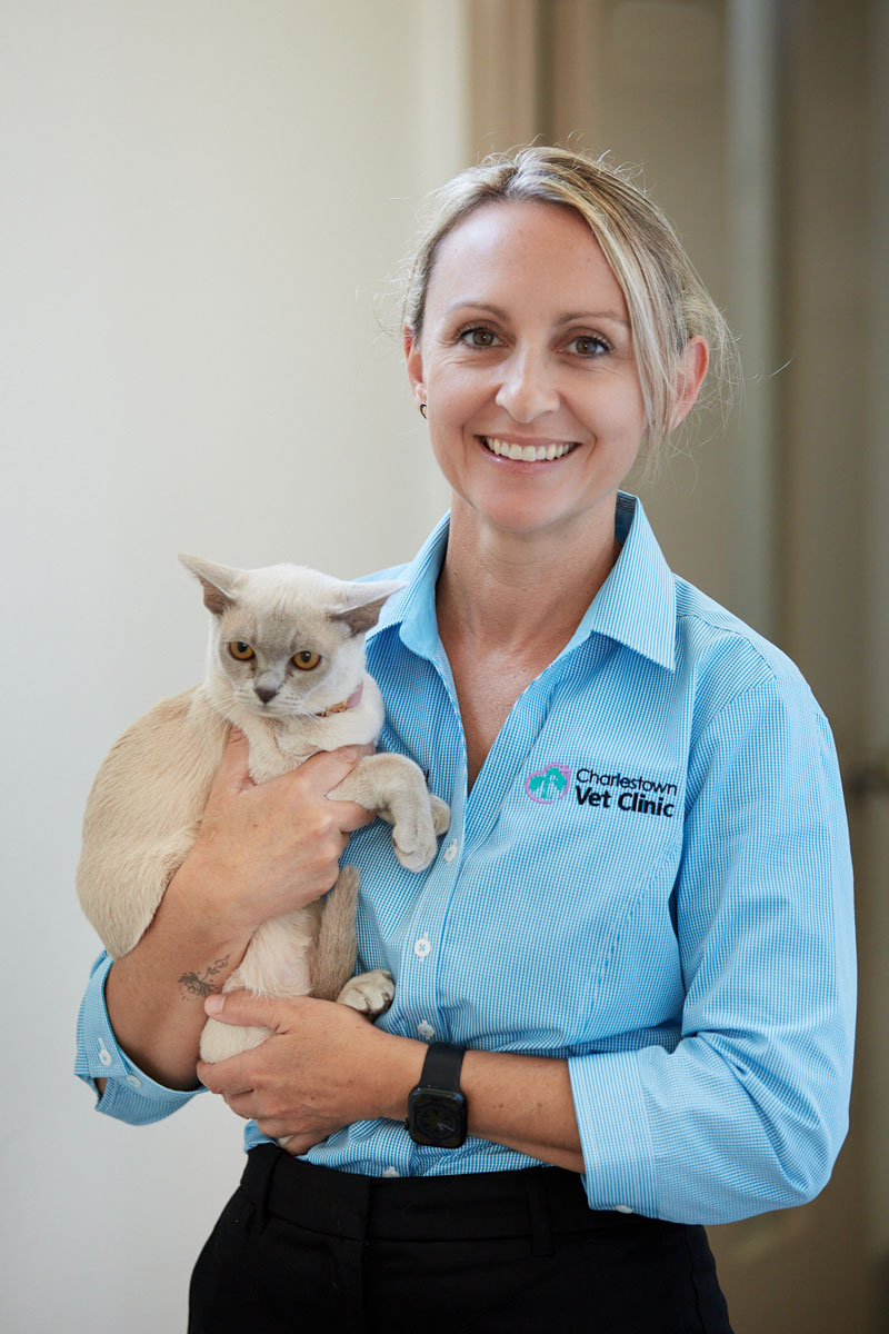Meet Our Team at Charlestown Vet - Dr Kelly