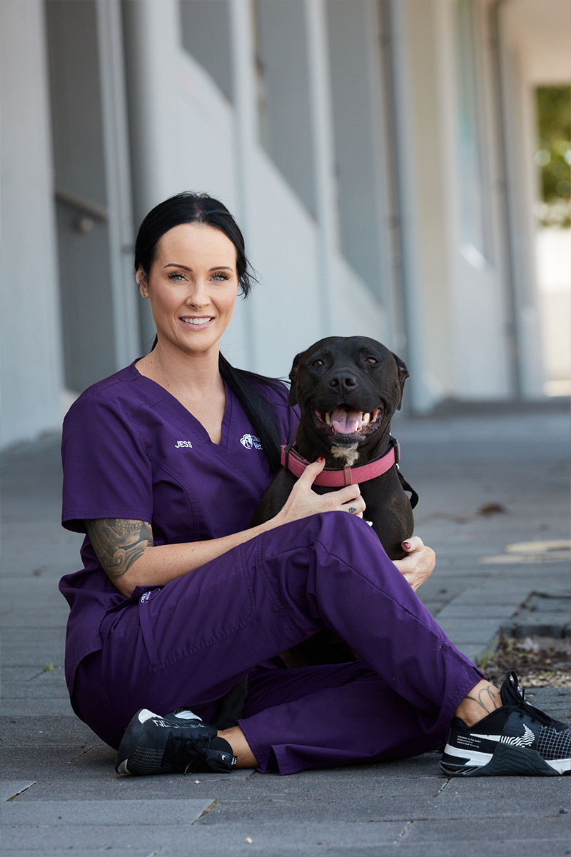 Charlestown Vet - Home Vet Visits & Pet Ambulance