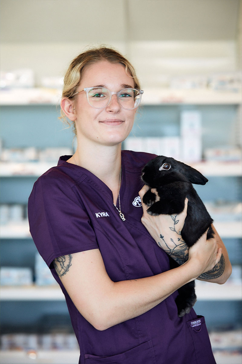 Meet Our Team at Charlestown Vet - Kyra