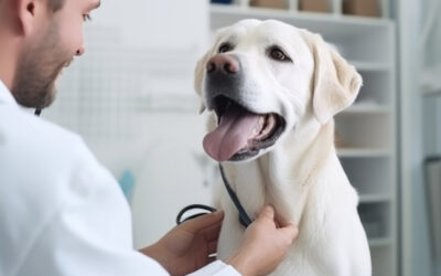 Preventative Health Care