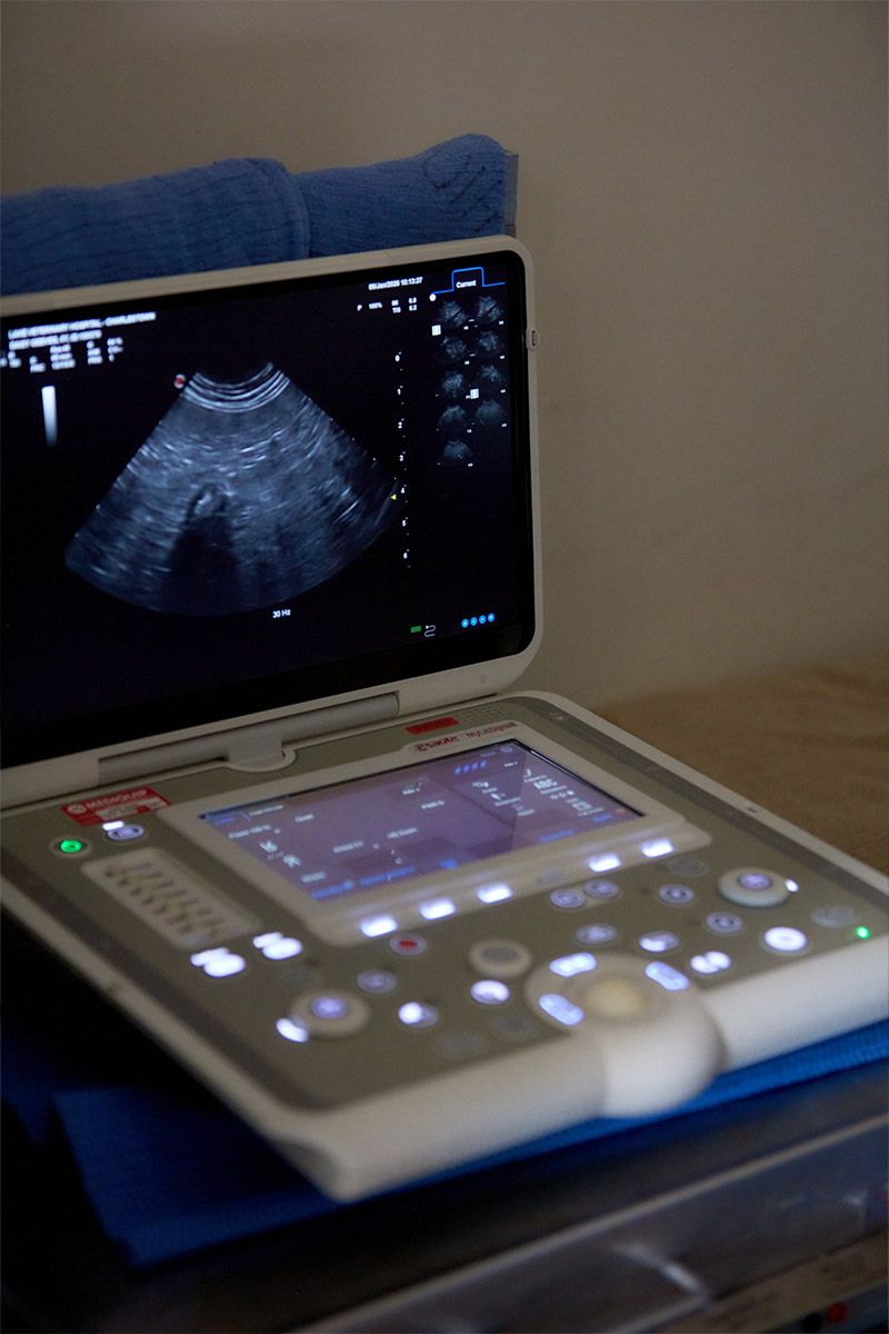 Charlestown Vet - Diagnostics & Testing - Ultrasound