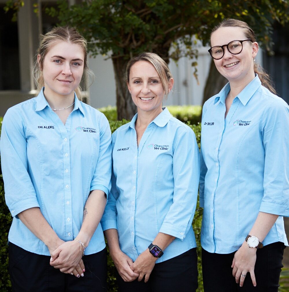 Charlestown Vet Clinic - Vet Team 