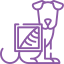 Charlestown Vet - Diagnostics & Testing